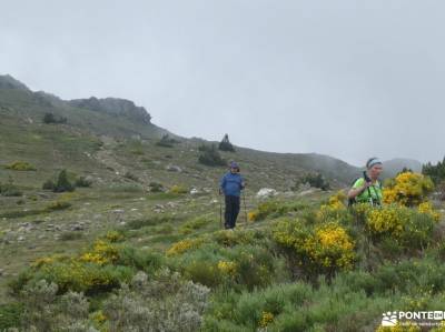 Pico del Lobo - Sierra de Ayllón; lagos covadonga asturias turismo pueblos fotos de cerezos en flor 